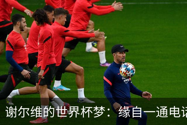 谢尔维的世界杯梦：缘自一通电话的错位